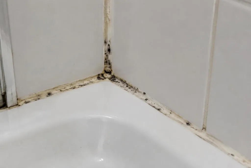 Kitbedrijf Harmelen – beschimmelde kitranden